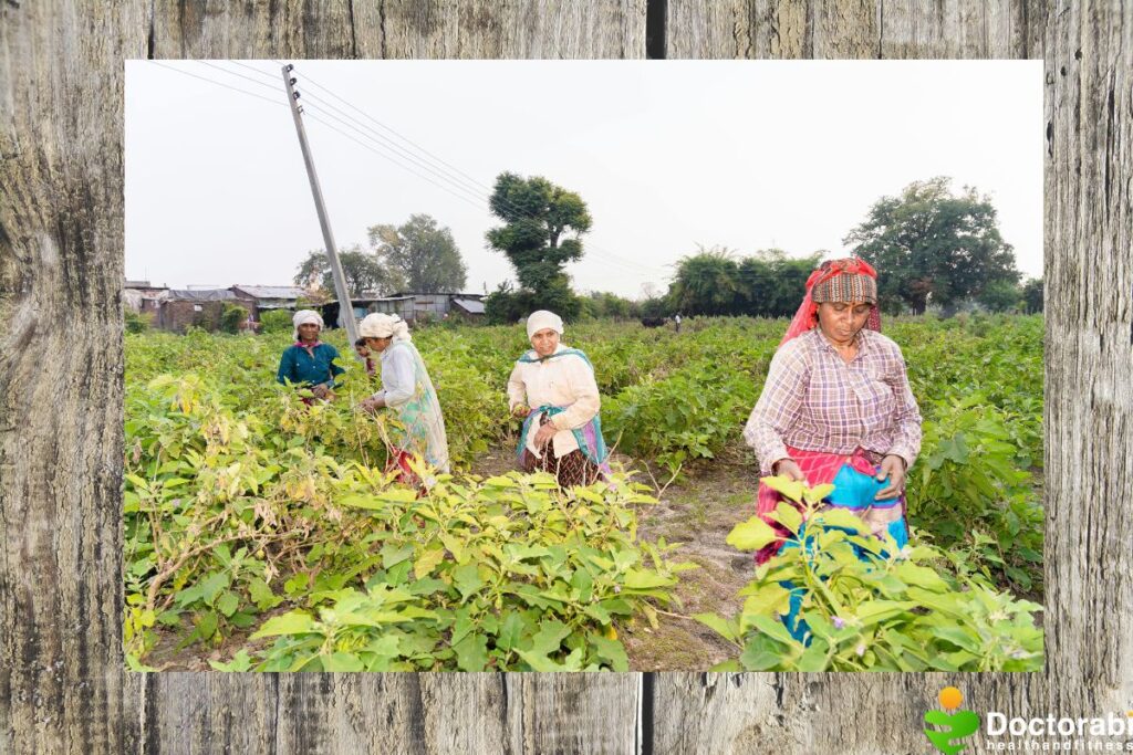 Women-farmers